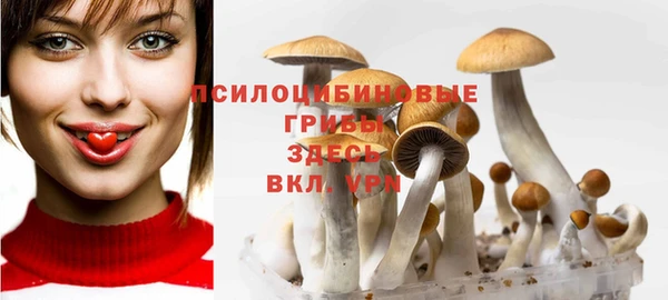 индика Армянск