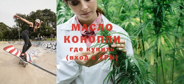 индика Армянск